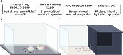 Assessment of Binge-Like Eating of Unsweetened vs. Sweetened Chow Pellets in BALB/c Substrains